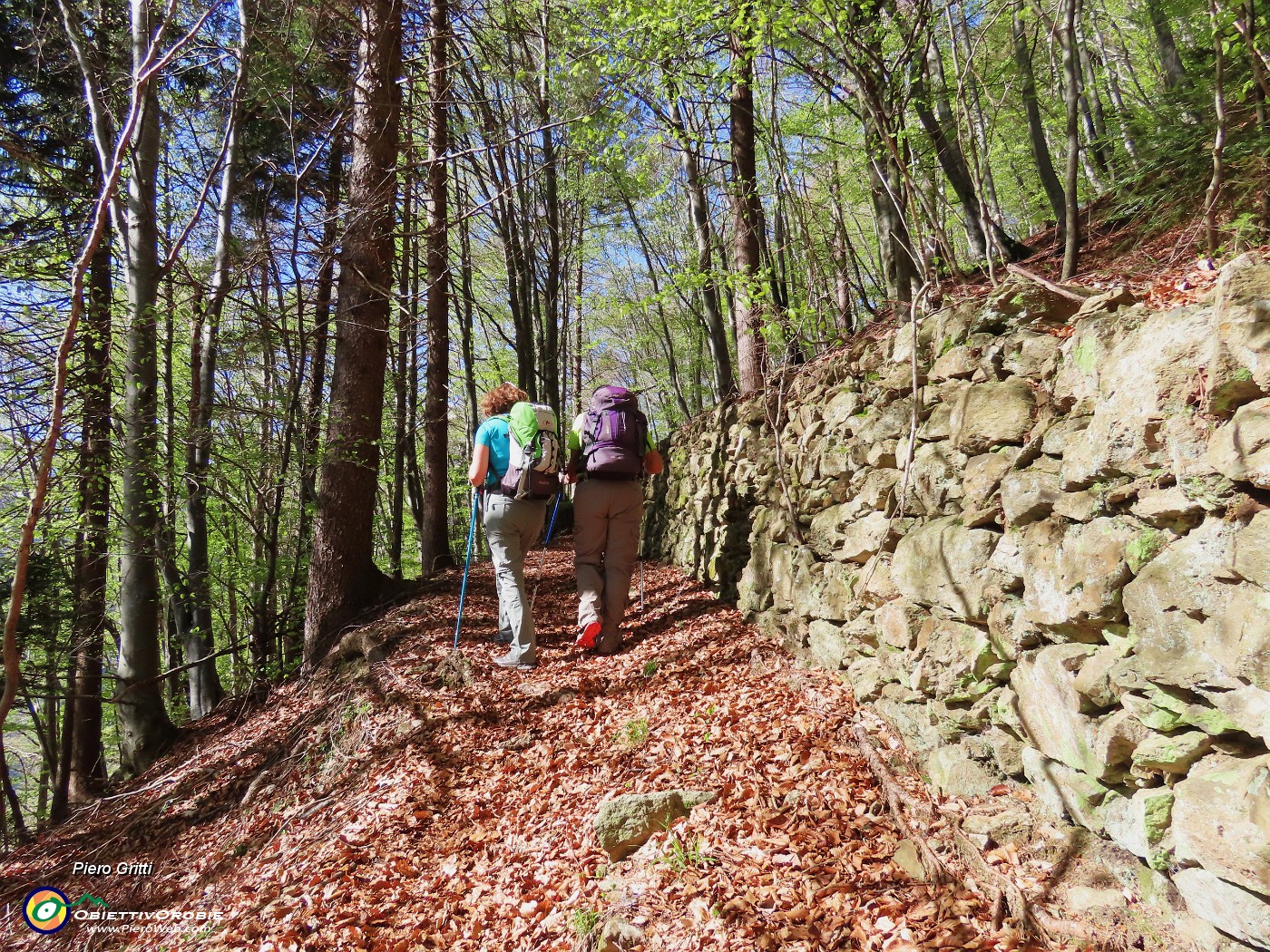 23 Alcuni tratti di sentiero sono sostenuti a monte da muri a secco.JPG